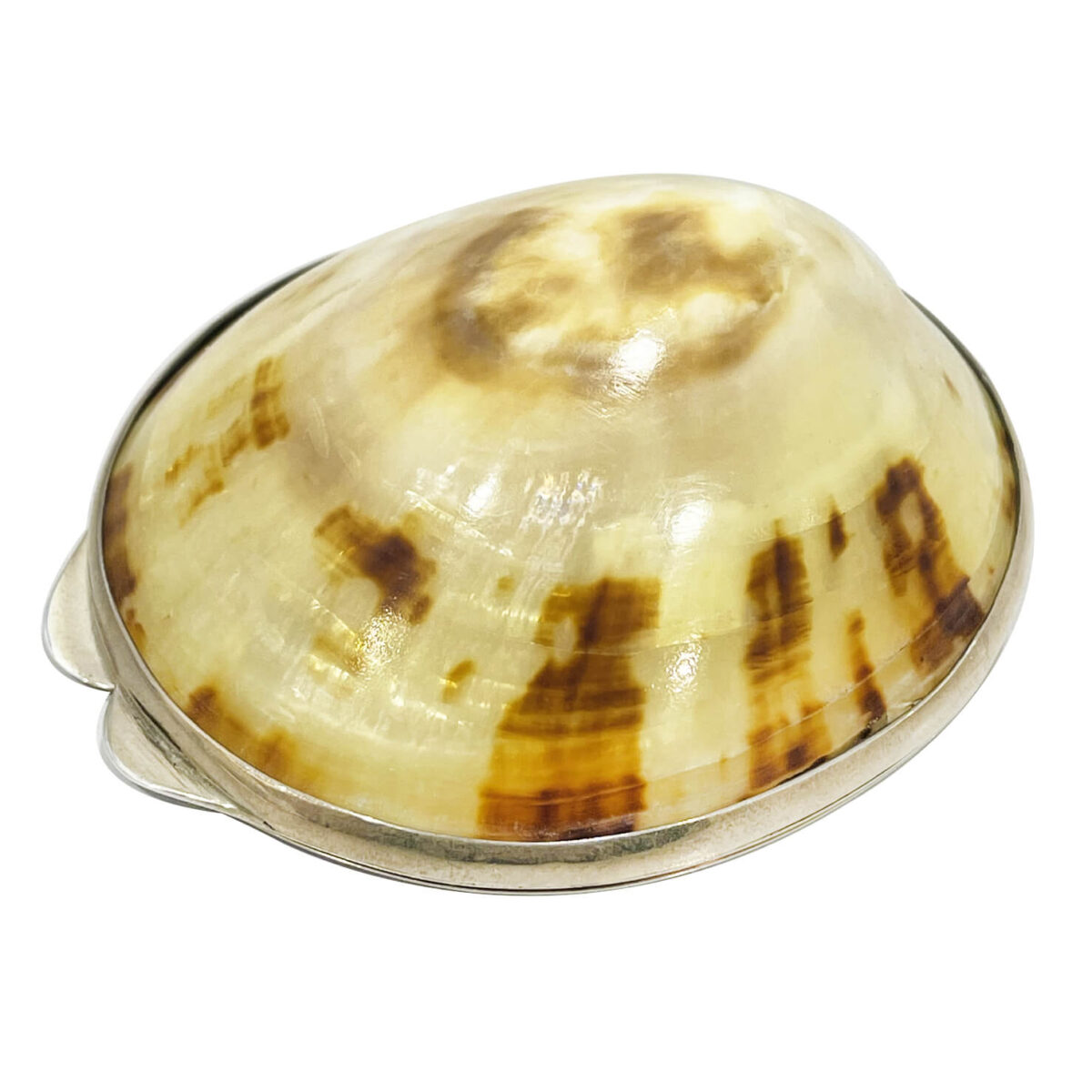 Scatolina conchiglia in argento