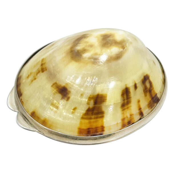 Scatolina conchiglia in argento
